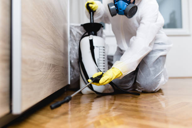 Best Insect Control  in Sterling, GA