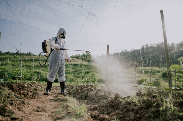 Best Mosquito Control Services  in Sterling, GA