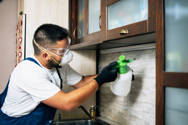 Best Pest Inspection Near Me  in Sterling, GA