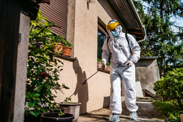 Best Residential Pest Control  in Sterling, GA