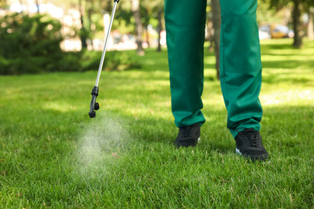 Best Wildlife Control Services  in Sterling, GA