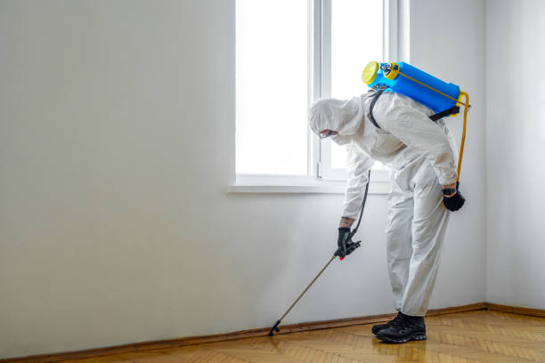 Best Cockroach Control Services  in Sterling, GA