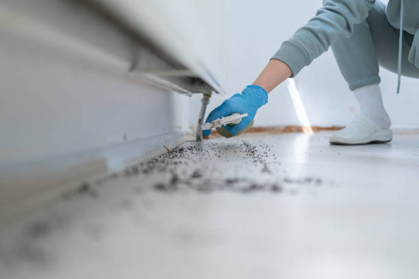 Best Bed Bug Extermination  in Sterling, GA